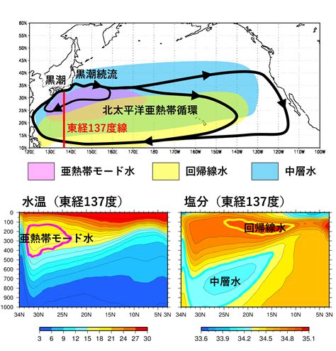 北太平洋暖流|北太平洋環流